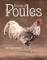 portraits-poules-1